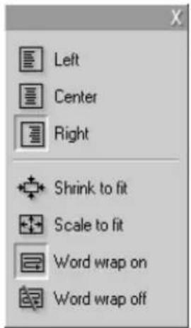 PINNACLE Studio 8 - Text-styling controls - 2