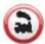 TOMTOM Rider Pro - Safety Camera Symbols - 11
