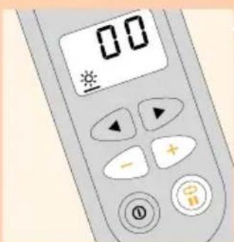 00 ※