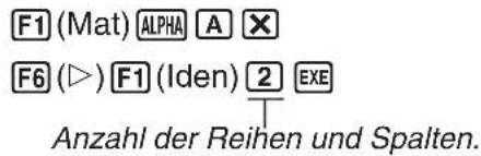 CASIO CFX-9950GB - Beispiel 3 Die Matrix A (aus Beispiel 1) ist mit einer 2 × 2 Identitäts-Matrix zu multiplizieren. - 1
