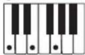 CASIO CTK-240 - OPMERKING - 1