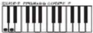 CASIO CTK-240 - Akkoordtypes - 2