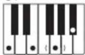 CASIO CTK-240 - OPMERKING - 6