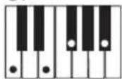 CASIO CTK-240 - OPMERKING - 10