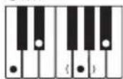 CASIO CTK-240 - OPMERKING - 7