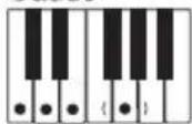 CASIO CTK-240 - OPMERKING - 12
