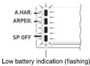 CASIO CTK-7200 - Using Batteries - 4