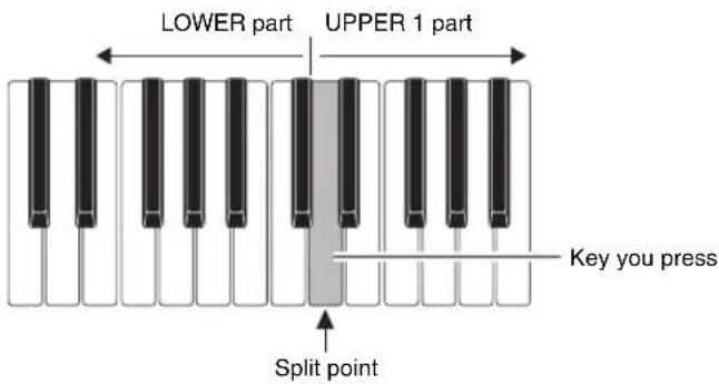 CASIO CTK-7200 - To specify the keyboard split point - 1
