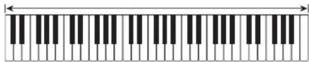 CASIO LK-165 - ■FULL RANGE CHORD - 2