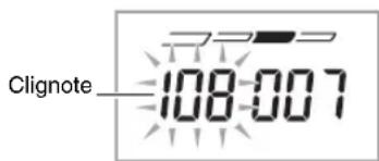 Clignote 108.007