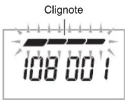 Clignote 108.001