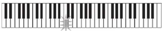 CASIO LK-165 - Appuyez sur 22. - 1