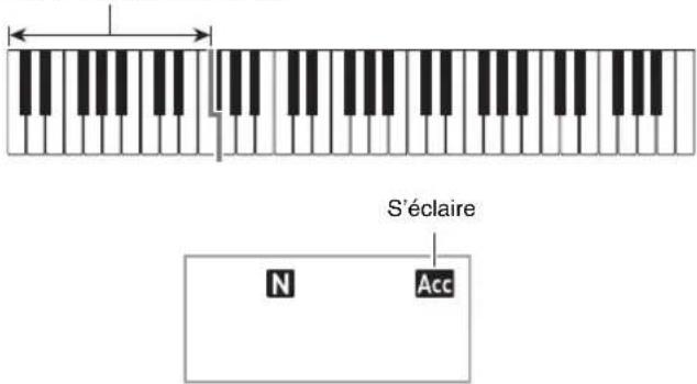S'éclaire N Acc