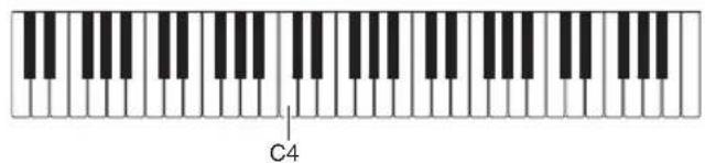 C4