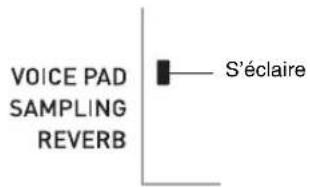 VOICE PAD SAMPLING REVERB S'éclaire