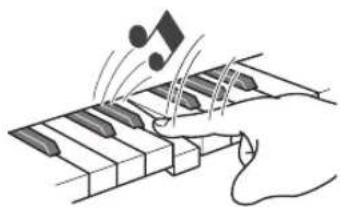 CASIO LK-165 - Changement de la sensibilité de la réponse au toucher du clavier (Réponse au toucher) (LK-240/LK-247 seulement) - 1