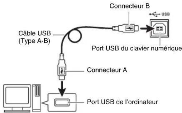 Câble USB (Type A-B) Connecteur A Connecteur B Port USB du clavier numérique Port USB de l'ordinateur