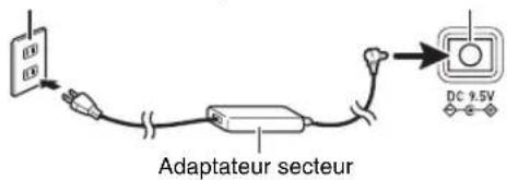 Adaptateur secteur DC 9.5V