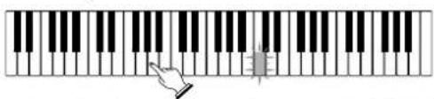 CASIO LK-35 - Press the STEP 1 button. - 4