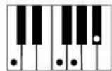 CASIO LK-35 - Using standard fingerings - 11