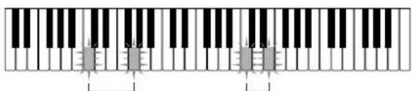 CASIO LK-35 - Two-hand Song Bank Tune - 1
