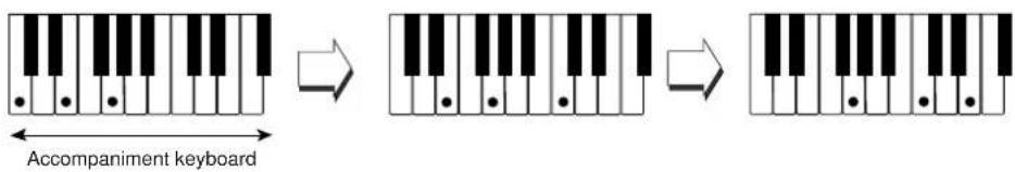 CASIO LK-35 - Notes - 1