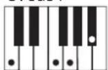 CASIO LK-43 - Utilisation du doigté standard - 11