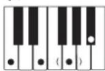 CASIO LK-43 - Utilisation du doigté standard - 6