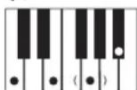 CASIO LK-45 - Utilisation du doigté standard - 6