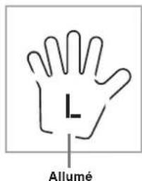L Allumé