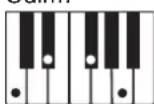 CASIO LK-45 - Utilisation du doigté standard - 15