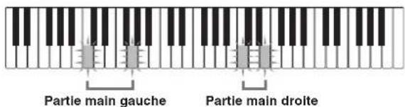 Partie main gauche Partie main droite