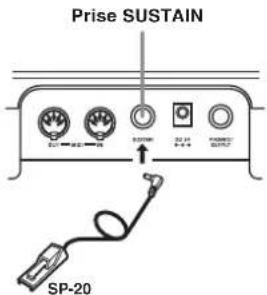CASIO LK-45 - Prise sustain - 1