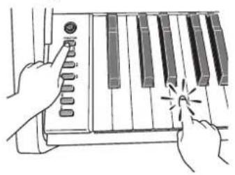 CASIO PX-735 - Sélectionnez la sonorité souhaitée. - 2