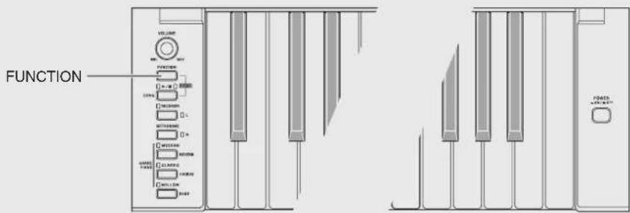 FUNCTION