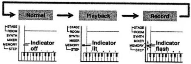 CASIO WK-1200 - Basic Memory operations - 1