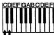 CASIO WK-1200 - Chord Types - 2