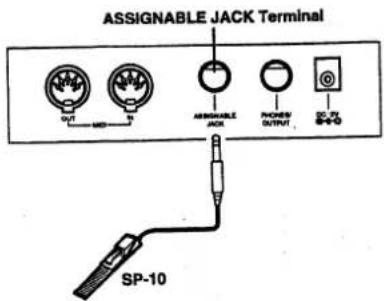 ASSIGNABLE JACK TERMINAL OUT S1 ENABLED POWER OUTPUT SP-10