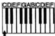 CASIO WK-1200 - Chord Types - 1