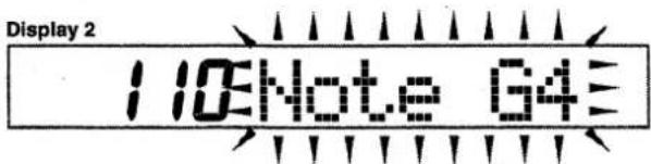 Display 2 110Note 64