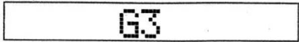 G3