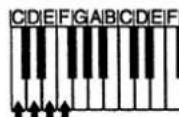 CASIO WK-1200 - Chord Types - 4