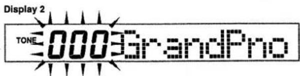 Display 2 TONE 0003 GrandPro
