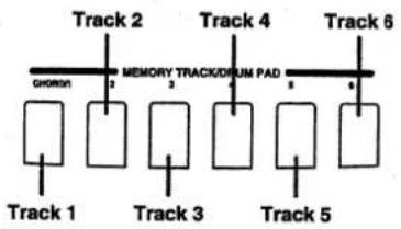 Track 2 GROWN MEMORY TRACK/DRUM PAD Track 4 Track 6 Track 1 Track 3 Track 5