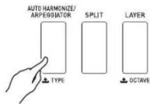 AUTO HARMONIZE/ ARPEGGIATOR TYPE SPLIT LAYER OCTAVE