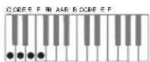 CASIO WK-6600 - ■CASIO Chord - 4