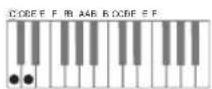 CASIO WK-6600 - ■CASIO Chord - 2