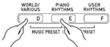 WORLD/ VARIOUS D PIANO RHYTHMS E USER RHYTHMS F MUSIC PRESET ( ) PRESET
