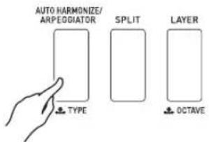 AUTO HARMONIZE/ ARPEGGIATOR SPLIT LAYER TYPE OCTAVE