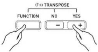 (F+) TRANSPOSE FUNCTION NO YES - +